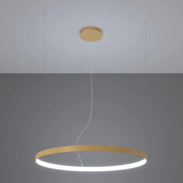 Thoro TH.181 - LED  Hanglamp aan een koord RIO LED /50W/230V CRI95 4000K diameter 78 cm goud